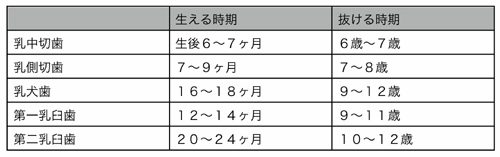 乳歯が生える時期と抜ける時期の平均時期